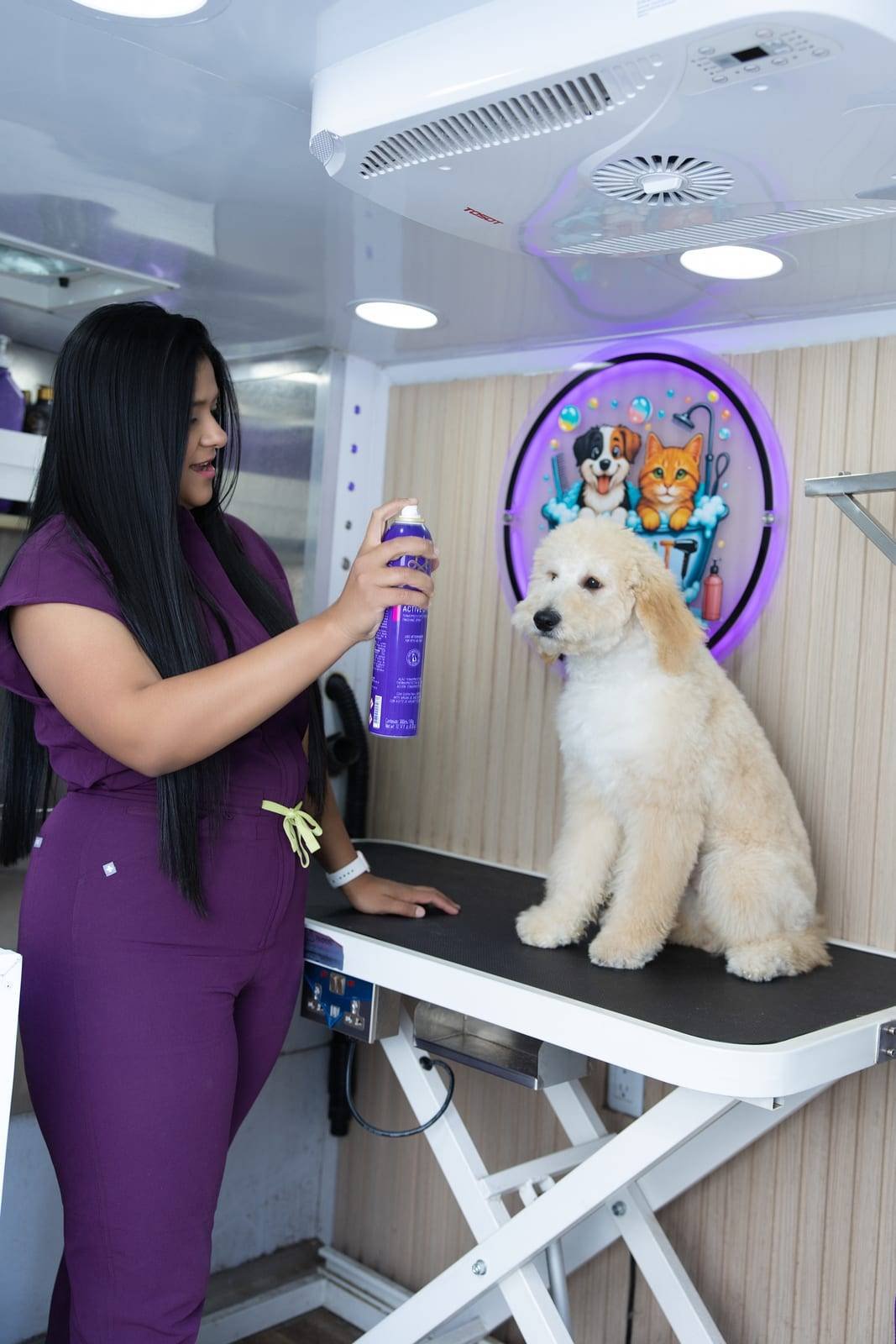 Un perro en la mesa hidráulica de grooming dentro de la van